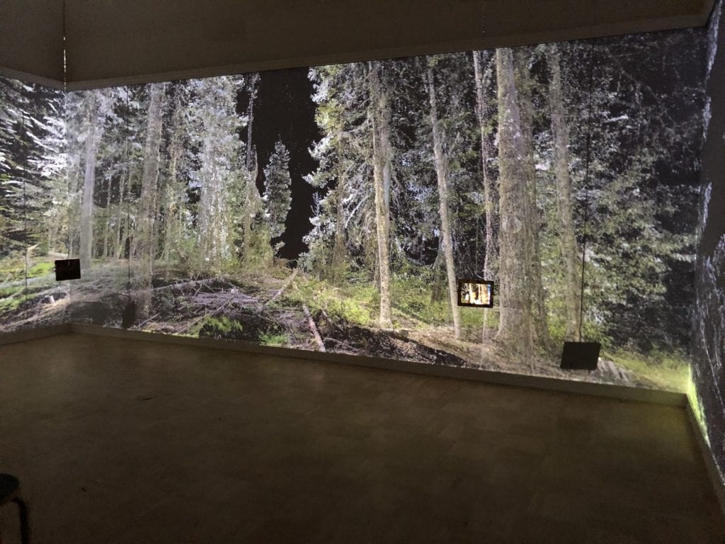 Installation view of Sin Sol at Henry Art Gallery, three gallery walls are seamless projections of images of a forest, and two ipads hang from cables showing an AR app with poetry and characters
